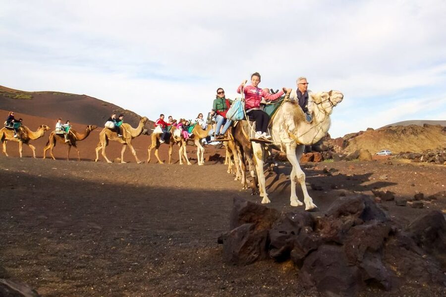 Lanzarote: Timanfaya Park and Jameos del Agua Full-Day Tour - South-to-north Lanzarote in one day: why this route makes sense