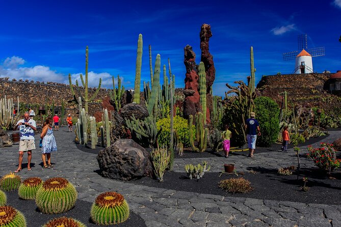 Lanzarote Tour: Lagomar Museum, Cactus Garden & La Graciosa - Morning Logistics: 10:30 Start and Pickup That Keeps You Moving