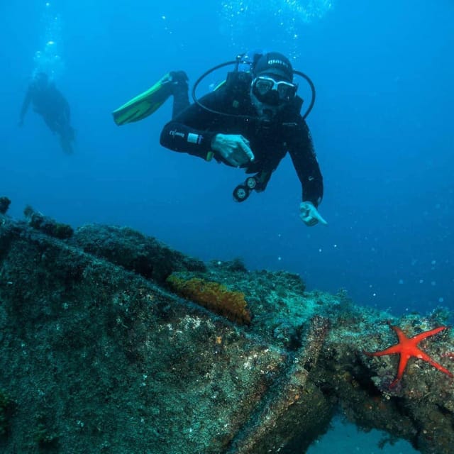 Lanzarote: Try Scuba Diving Experience - What You’ll See in Lanzarote’s Water (Fish, Not Showmanship)