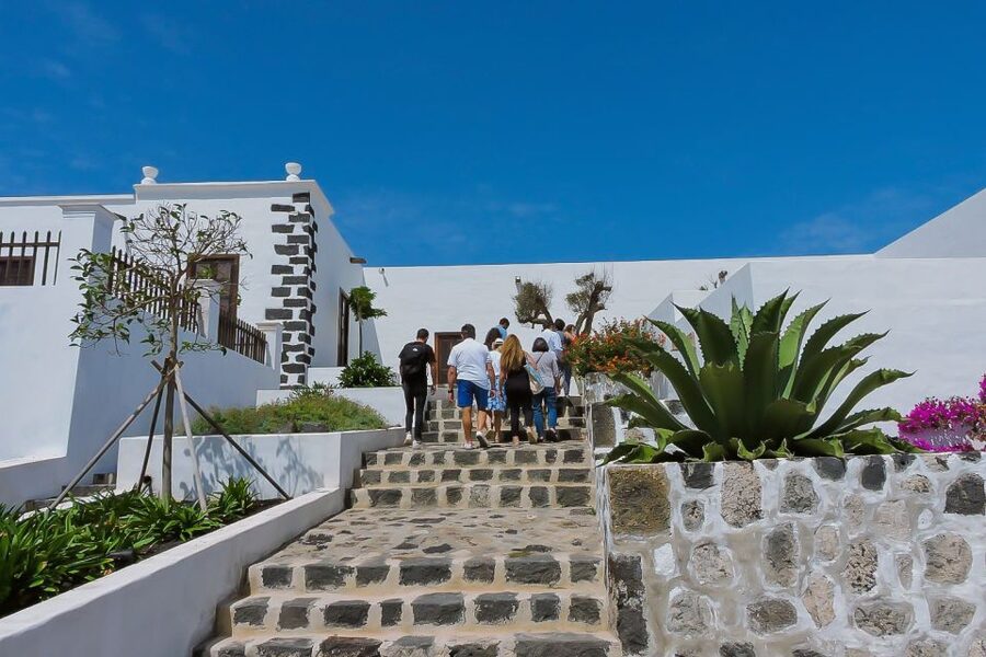 Lanzarote: Vineyard Tour with Wine and Chocolate Tasting - Key things I’d plan around