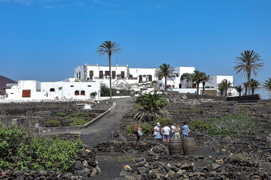 Lanzarote: Vineyard Tour with Wine and Chocolate Tasting - Finca Testeina: Where Timanfaya’s Aftermath Meets Wine Culture