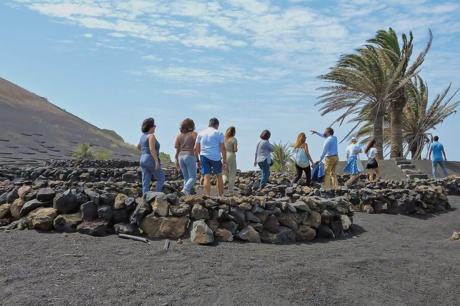 Lanzarote: Vineyard Tour with Wine and Chocolate Tasting - Price and Logistics: Is It Good Value at $28?