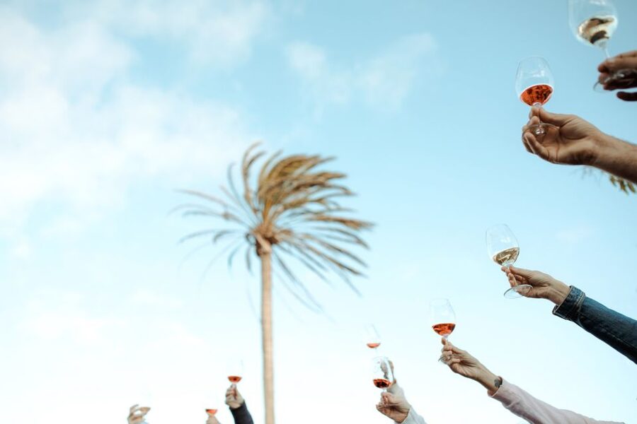 Lanzarote: Vineyard Tour with Wine and Chocolate Tasting - Should You Book This Lanzarote Wine and Chocolate Tour?
