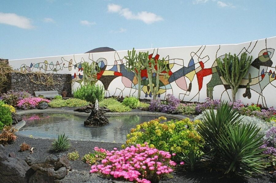 Lanzarote: Volcanic Landscapes Tour with Panoramic Views - Price and Value: What $71 Buys in 6 Hours