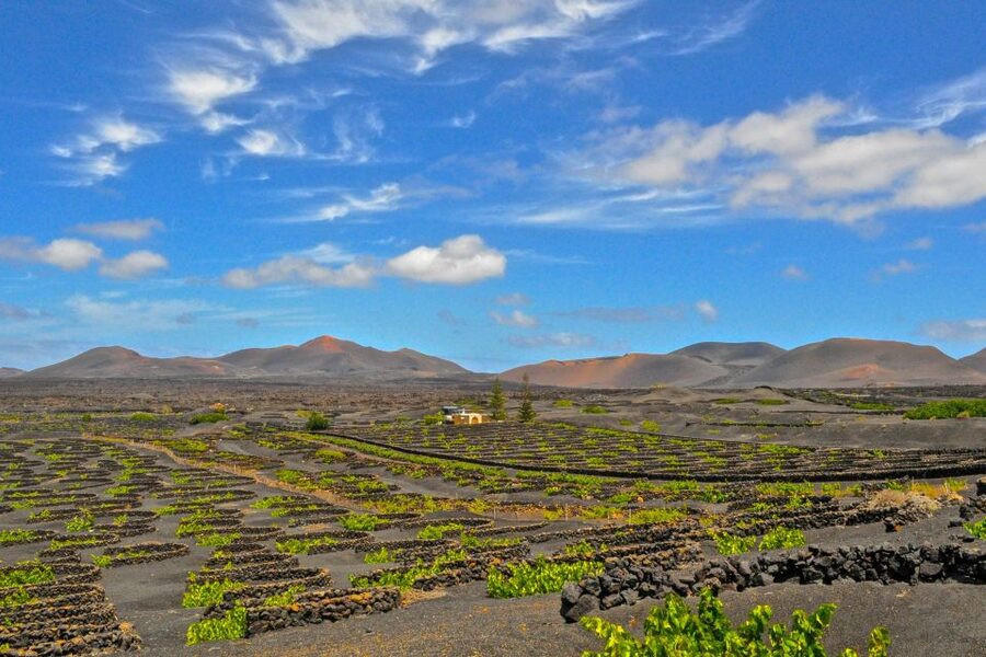 Lanzarote: Volcanos of Timanfaya and Caves Tour with Lunch - A Full-Day Lanzarote Loop: South Coast to Volcanic North