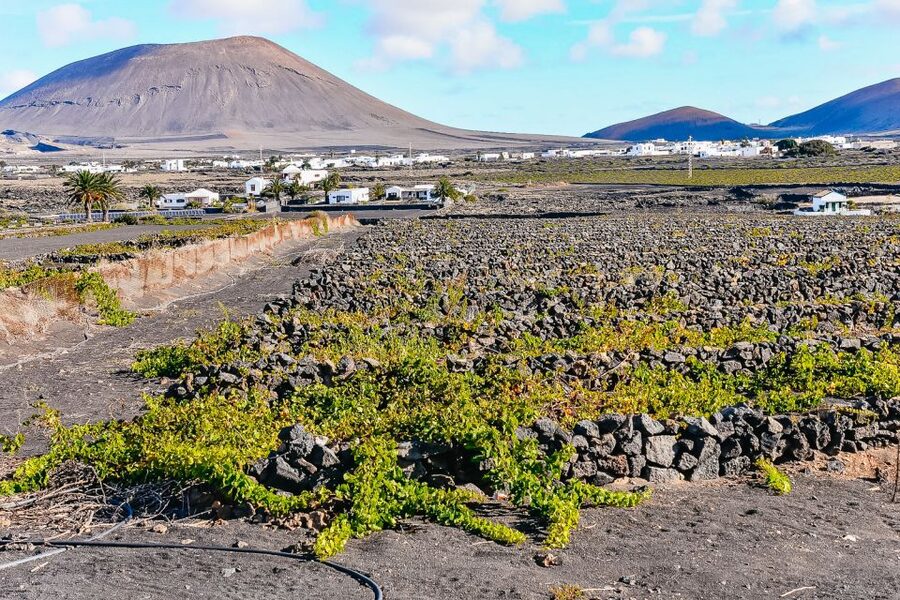 Lanzarote: Volcanos of Timanfaya and Caves Tour with Lunch - Yaiza Lunch: Where the Group Energy Shows Up