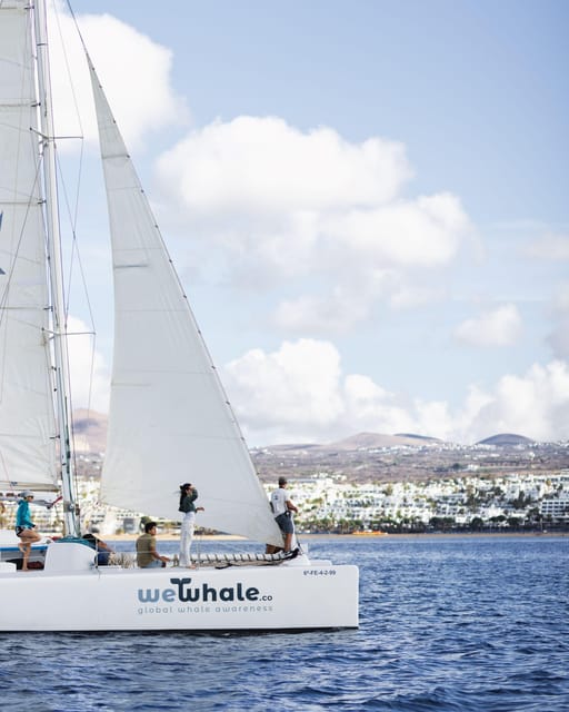 Lanzarote: Whale and Dolphin Watching Eco-Friendly Catamaran - Should you book the WeWhale Lanzarote electric catamaran tour?