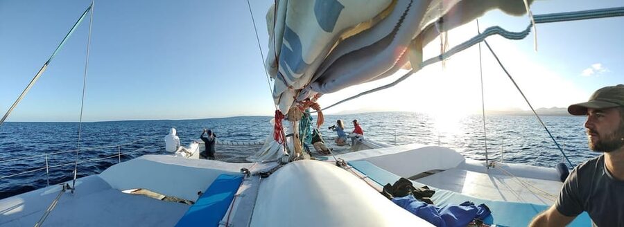 Lanzarote: Whale and Dolphin Watching Eco-Friendly Catamaran - Rules you’ll notice onboard (and why they’re there)