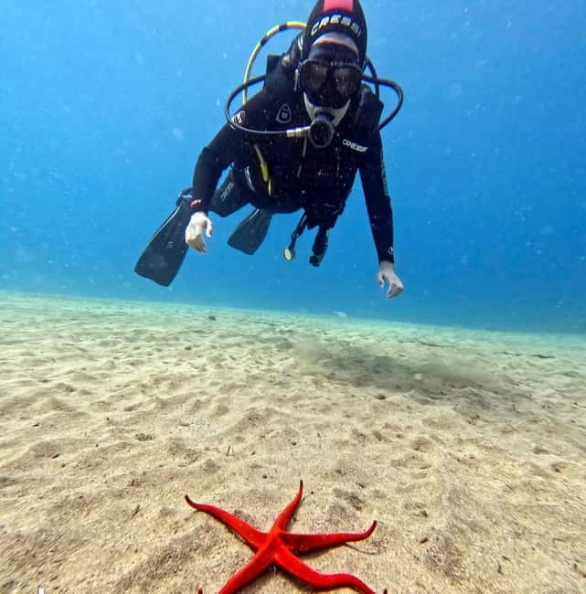 Lanzarote Your First Scuba Diving Experience - Why Small Groups Matter (Especially for First-Timers)