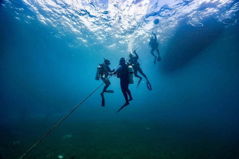 Lanzarote Your First Scuba Diving Experience - Price and Value: Why $68 Can Be a Good Deal