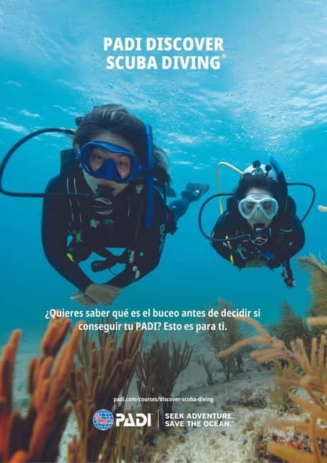 Lanzarote Your First Scuba Diving Experience - What You Learn Underwater: Breathing, Signals, and Staying Calm