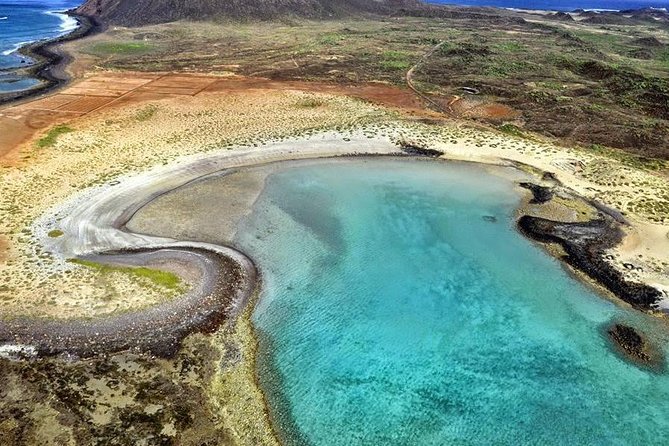 Lobos Island - The dolphin route - Isla de Lobos: the island time you’ll actually remember