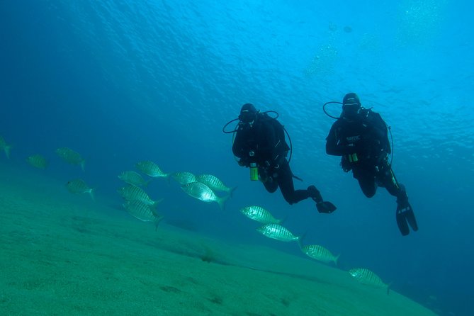 Make a private Try Dive, for your first Scuba experience! - Small-group coaching: up to 8 and built for beginners