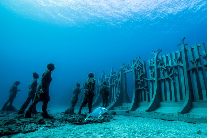 Museo Atlantico for certified divers - Equipment rental that actually saves you packing
