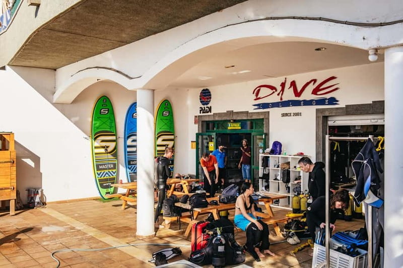 Museo Atlántico: Scuba Dive Lesson for Non-Certified Divers - Why Museo Atlántico works so well for first-timers