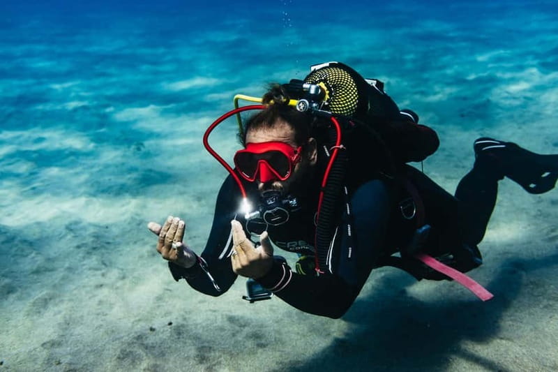 Museo Atlántico: Scuba Dive Lesson for Non-Certified Divers - The beginner training: rules, gear, and a low-depth water session