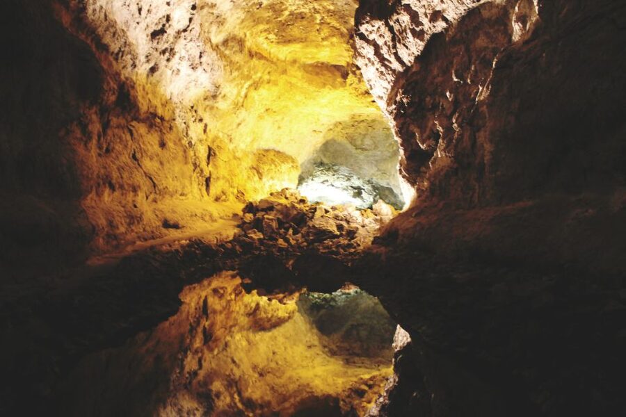 North Lanzarote: Cave, Jameos del Agua, and Viewpoint - Jameos del Agua: César Manrique’s underground garden and lagoons