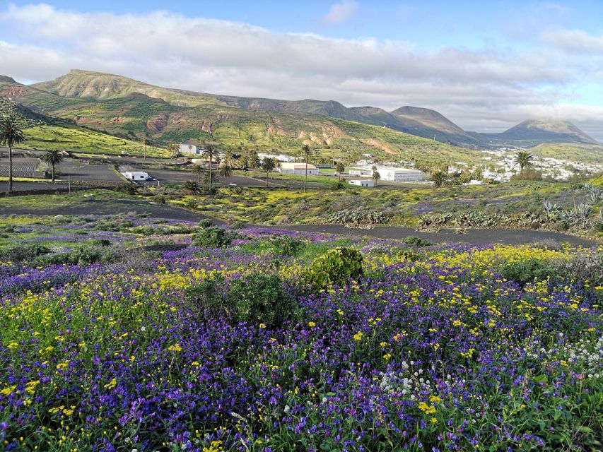 North Lanzarote: Cave, Jameos del Agua, and Viewpoint - What to pack and what to avoid on LanzaroteGuides