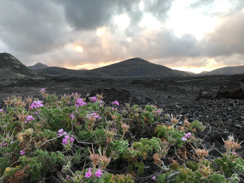 PRIVATE CUSTOMIZED TOUR OF LANZAROTE ISLAND - Key Things to Know Before You Go