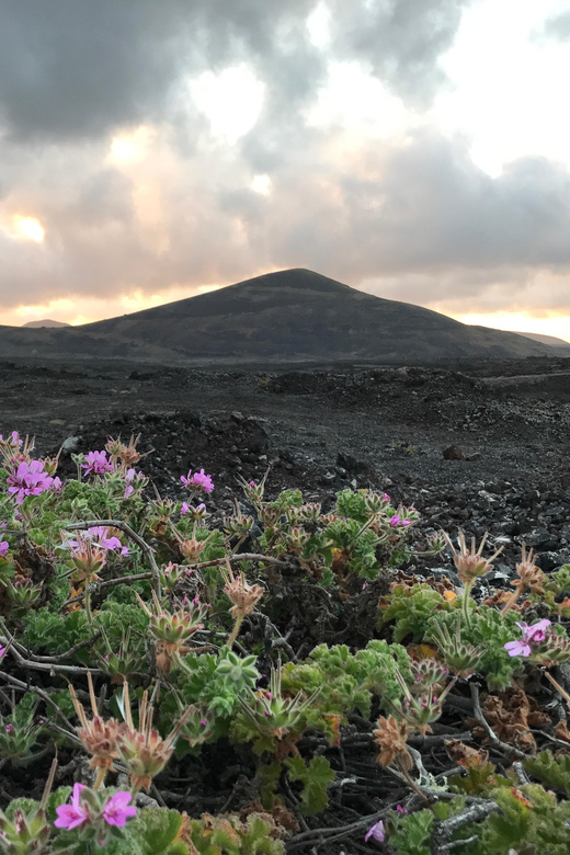 PRIVATE CUSTOMIZED TOUR OF LANZAROTE ISLAND - Guides, Crowds, and the Small Details That Change the Day