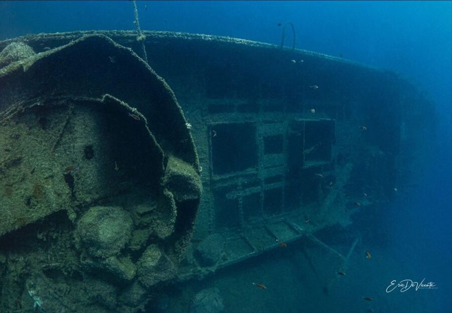 Puerto del Carmen: 2 Guided Scuba Dives (certified only) - Transportation and logistics that keep stress low