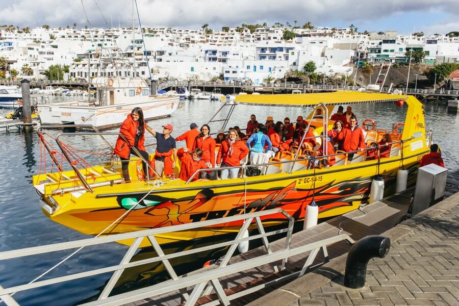 Puerto del Carmen: Dolphin-Watching Speedboat Tour with Swim - The 1.5-hour cruise: how the crew actually searches for dolphins and whales