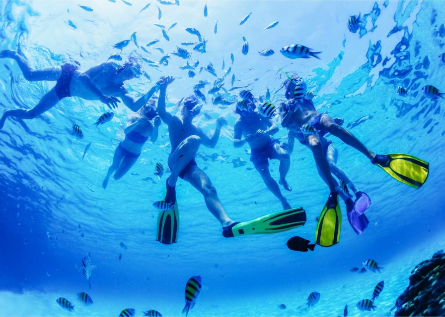 Puerto del Carmen: Dolphin-Watching Speedboat Tour with Swim - The swim stop: clear water, real ocean, and a few rules that matter