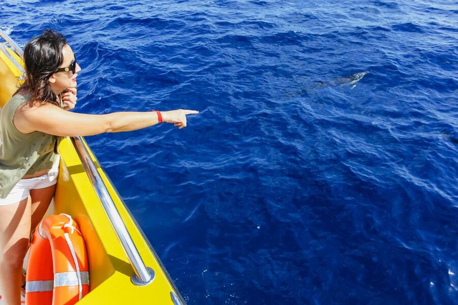 Puerto del Carmen: Dolphin-Watching Speedboat Tour with Swim - Live guides and onboard talk: Spanish, English, French, and lots of personality