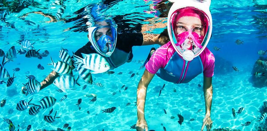 Puerto del Carmen: Dolphin-Watching Speedboat Tour with Swim - Where you meet in Puerto del Carmen (and how to avoid stress)