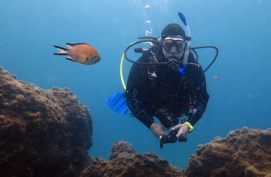 Puerto del Carmen: Guided Scuba Dive (certified only) - Key highlights that matter on the water