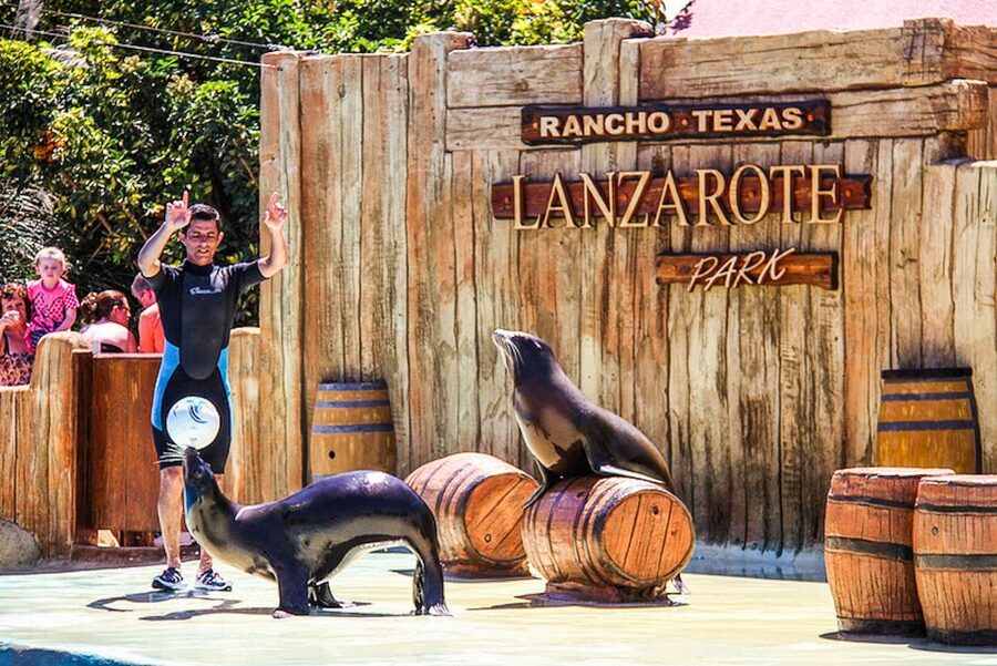 Puerto del Carmen: Rancho Texas Lanzarote Park Entry Ticket - Dolphin and sea lion presentations: the shows to build your day around