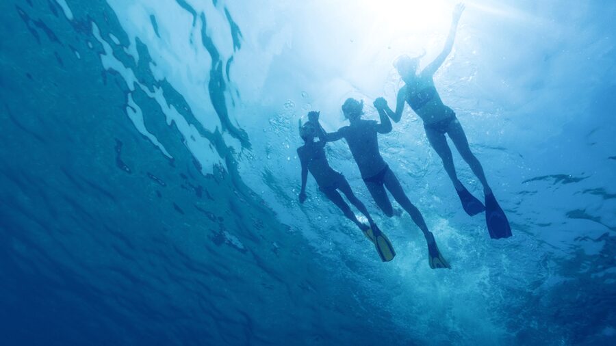 Puerto del Carmen: Snokel tour with an instructor - Meet at Playa Chica and Get Your Gear Sorted Fast