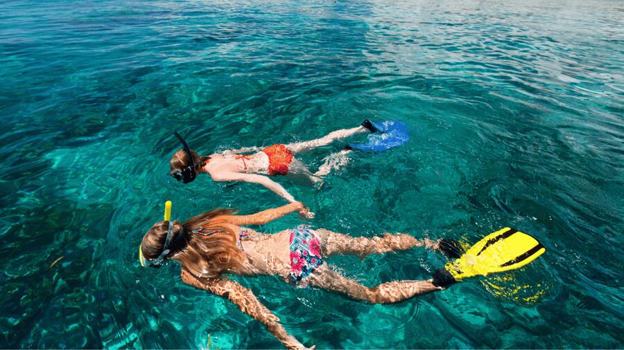 Puerto del Carmen: Snokel tour with an instructor - In the Water for 1 Hour: Safety, Floating Skills, and Real Sea Life