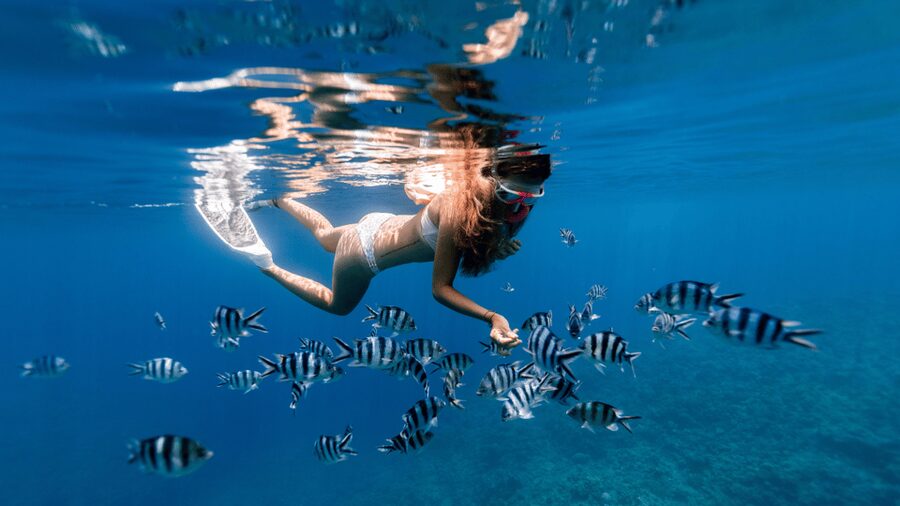 Puerto del Carmen: Snokel tour with an instructor - The Small Group Advantage: More Attention, Less Chaos