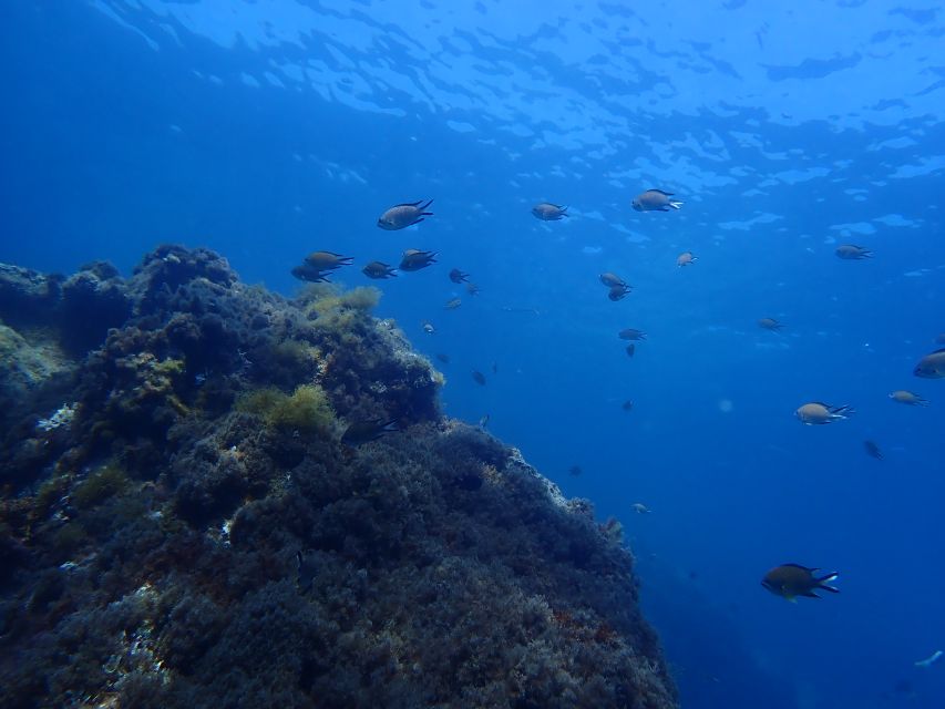 Puerto del Carmen: Snorkeling Trip with Dive Instructor - Comfort levels: who this fits best (and who should skip it)