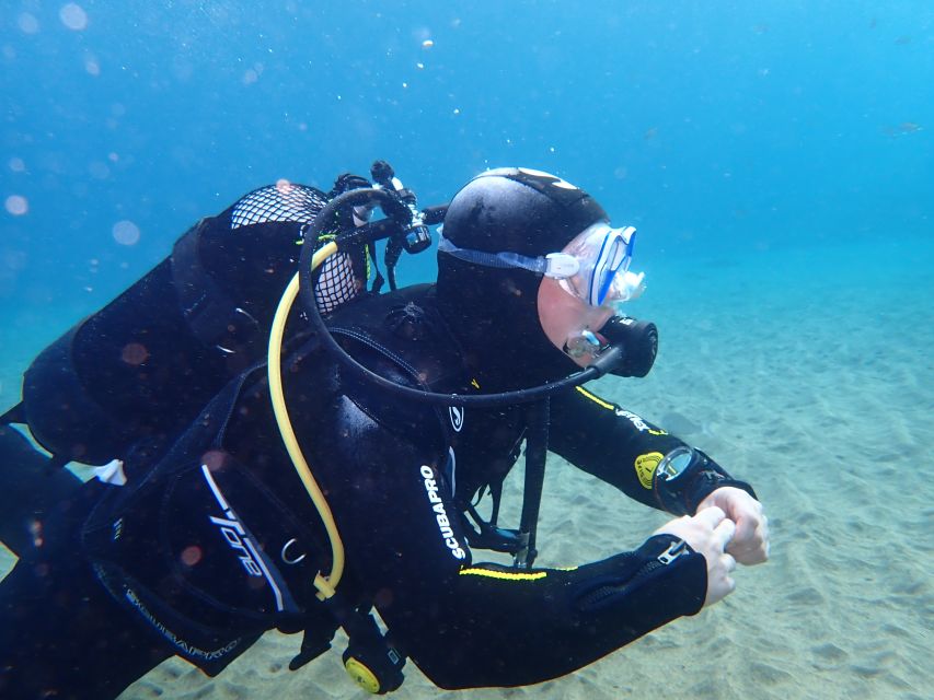 Puerto del Carmen: Try Scuba Diving from the beach - Should you book the Playa Chica scuba try-out?