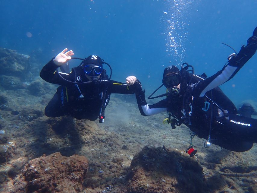 Puerto del Carmen: Try Scuba Diving from the beach - Marine life at the Playa Chica reef: what you can realistically expect