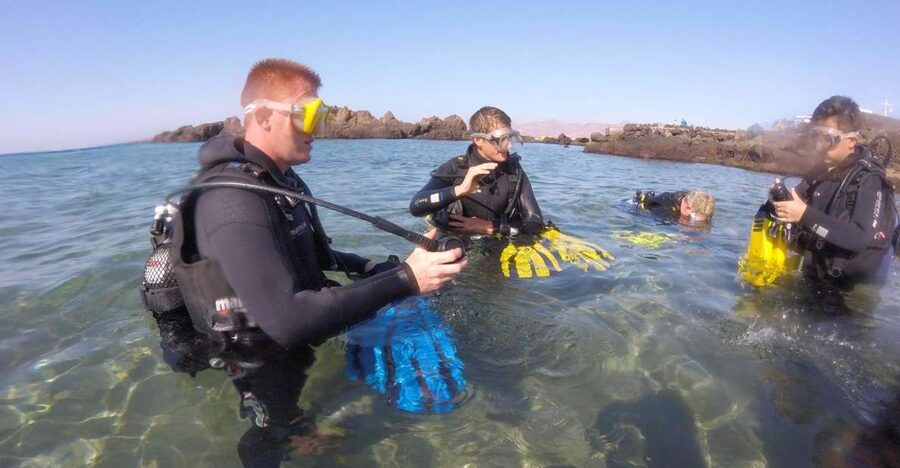 Puerto del Carmen: Try Scuba Diving with 1 Dive - What you’ll see at about 6 meters: fish, living reefs, and the angel shark chance