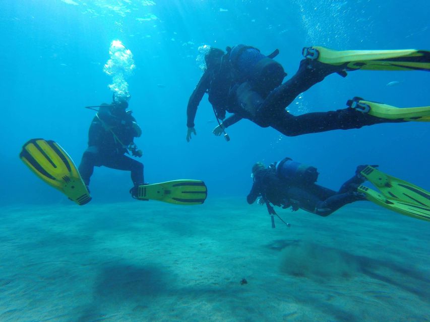 Puerto del Carmen: Try Scuba Diving with 1 Dive - Price and value: is about $74 per person a fair deal?