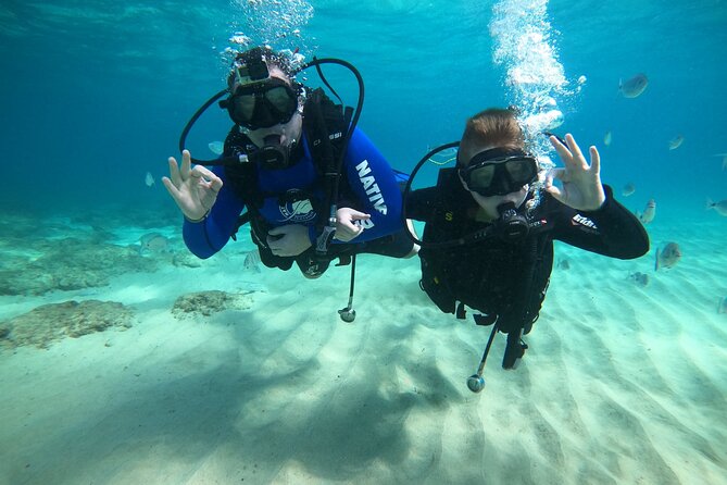 Scuba Diving (Basic Diver - 2 dives) - Equipment rental included: what you gain (and what you don’t)