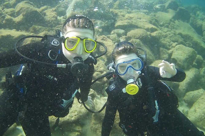Scuba Diving (Basic Diver - 2 dives) - Price and value: $120.15 for two supervised underwater sessions