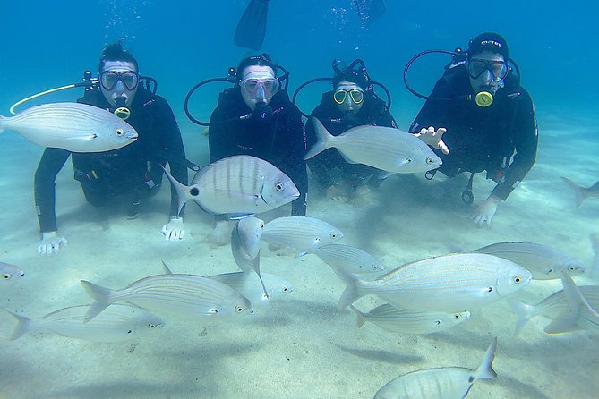 Scuba Diving (Basic Diver - 2 dives) - Small practical details that matter more than you think