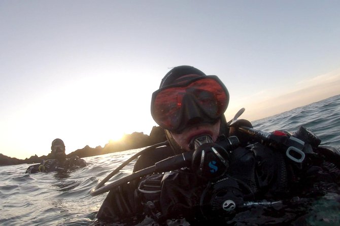 Scuba Diving in Lanzarote (for certified divers only) - Key highlights worth knowing up front