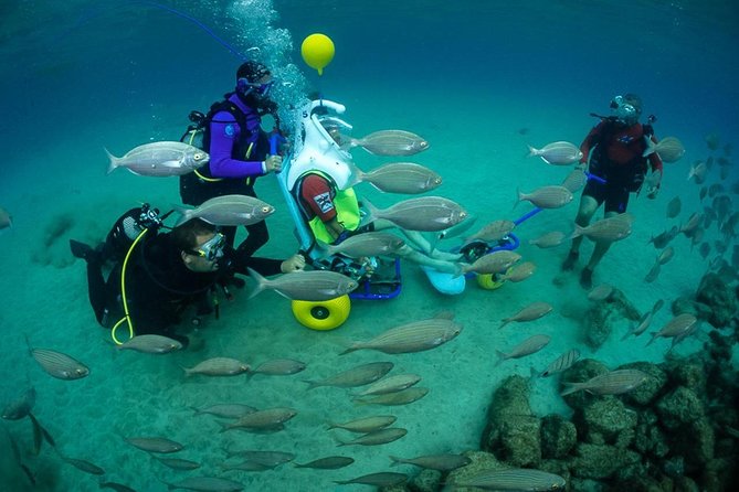 Sea Trek and Diving for handicaped people - Where You Meet on Lanzarote and How the Timing Fits