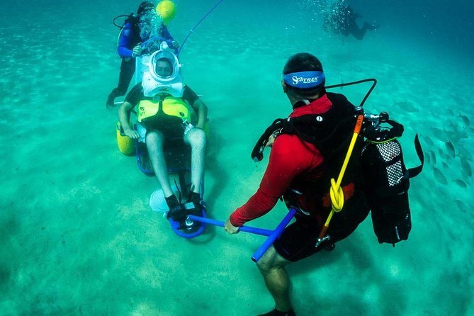 Sea Trek and Diving for handicaped people - Getting Ready: Transfers, Comfort, and Clear Instructions