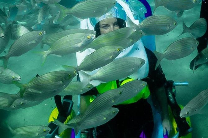 Sea Trek and Diving for handicaped people - Who This Is Best For (Disabled and Able-Bodied, for Different Reasons)