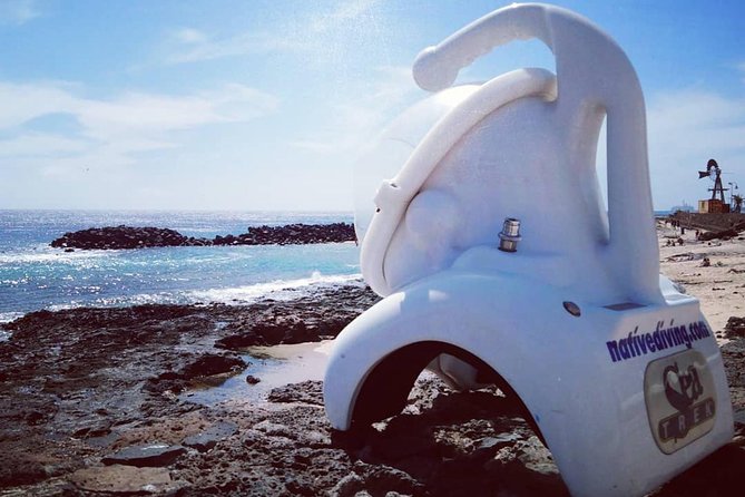 Sea Trek Diving Experience in Costa Teguise - What Sea Trek Really Feels Like in Costa Teguise