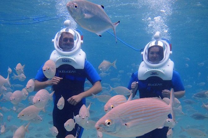 Sea Trek Diving Experience in Costa Teguise - The Pace of the Tour: Training, Then the Fun Part