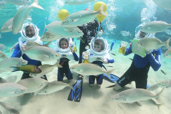 Sea Trek (exclusive in Lanzarote) - Where to meet in Costa Teguise and how the 2-hour flow works