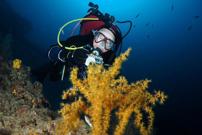 Single Dive for qualified divers from shore, region Puerto del Carmen. - Flexibility: weather can change the plan